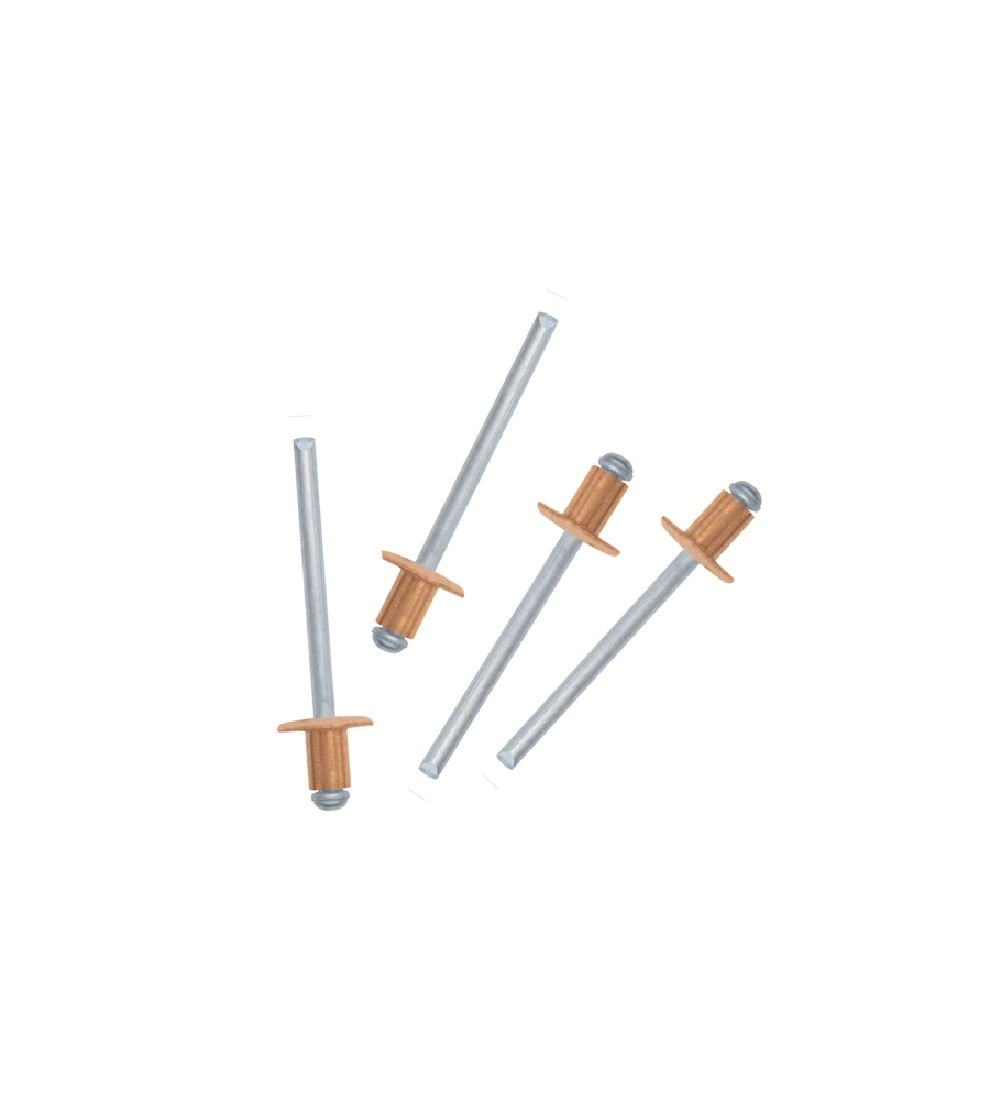 RIVETTI RIVESTITI IN RAME 4,0 X 8 - 1 KG.