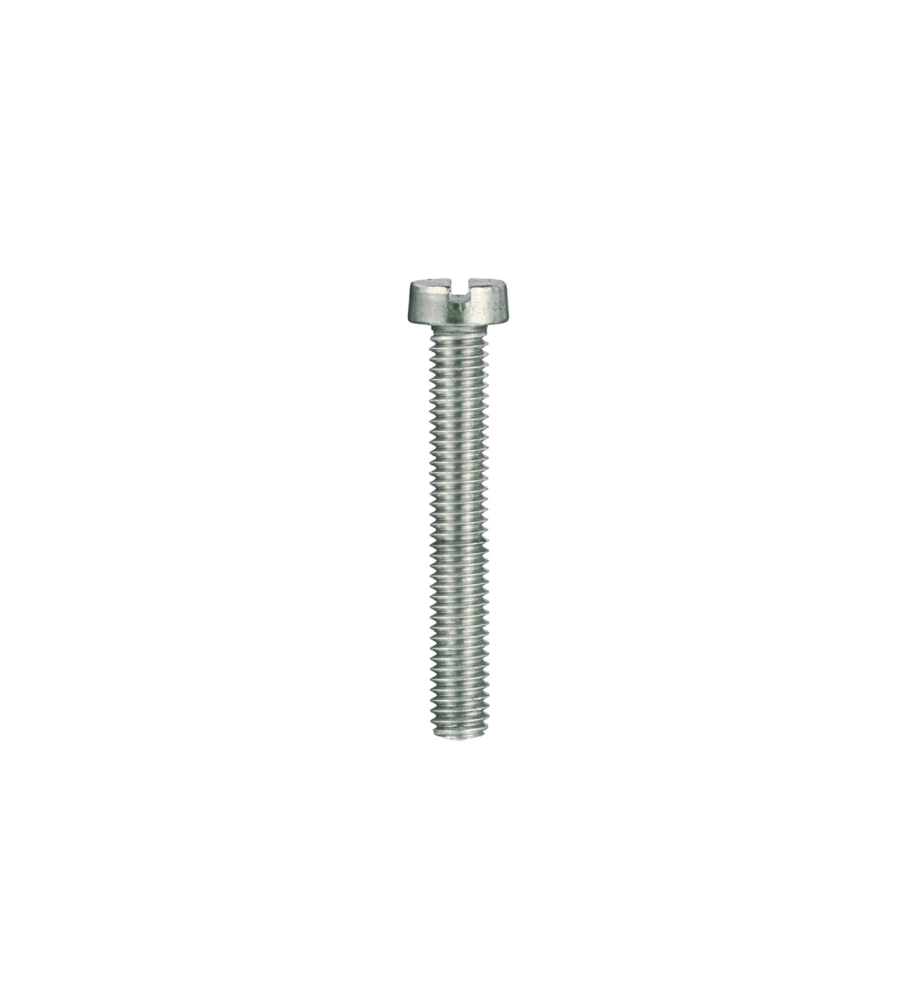 VITI PER METALLO TESTA CILINDRICA INOX 3 X 16 - 1 KG.