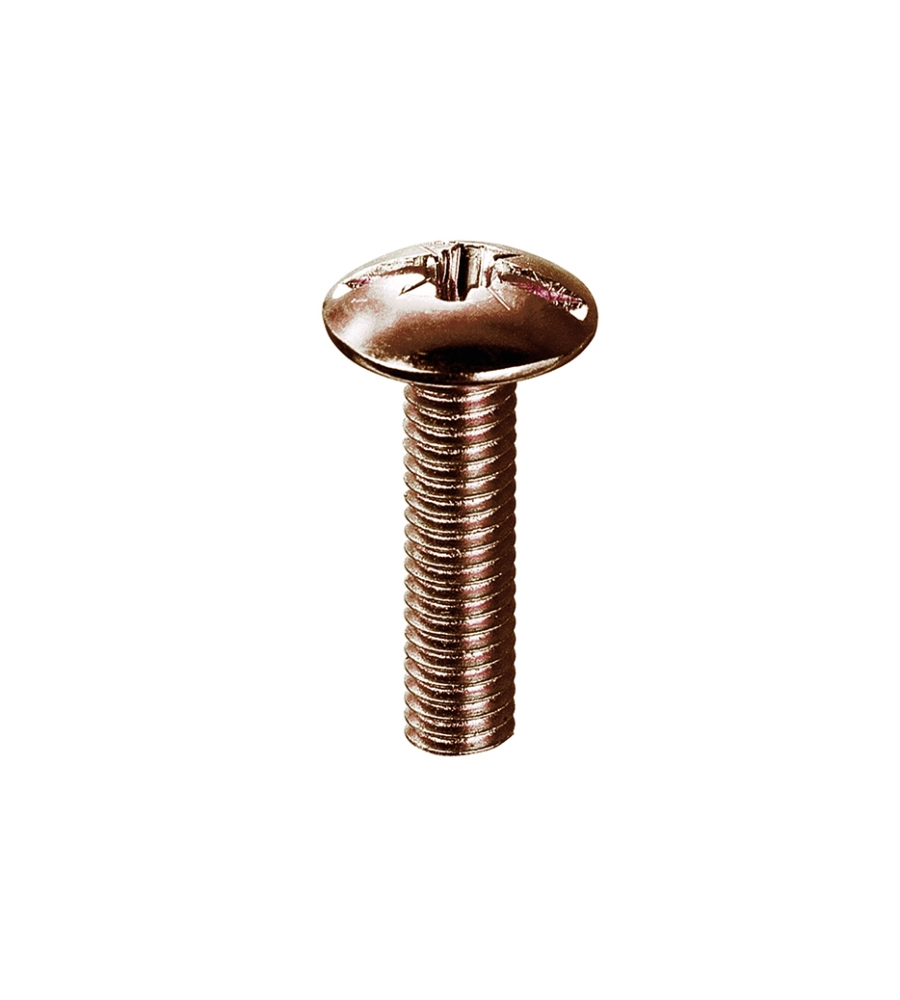 VITI TESTA BOMBATA - M6 X 25 MM. - FERRO BRUNITO - 8 PZ.