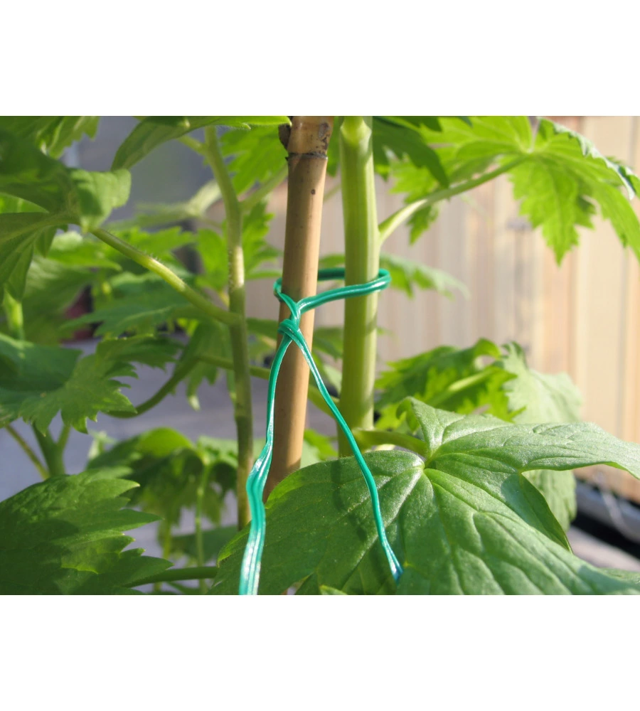 FILO PER GIARDINAGGIO IN FERRO PLASTIFICATO, VERDE, 50 METRI