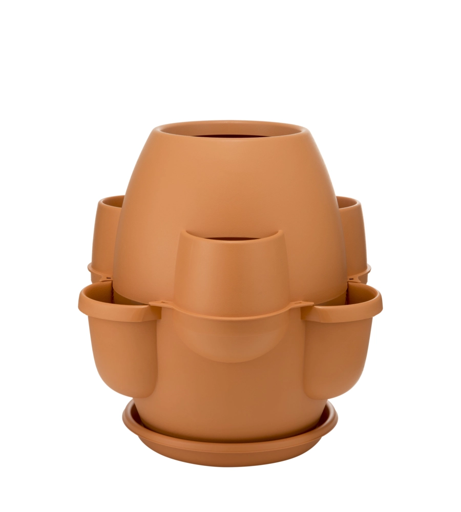 VASO OASI COTTO CHIARO