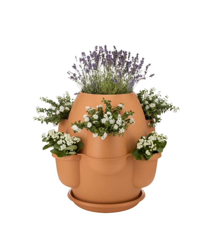 VASO OASI COTTO CHIARO