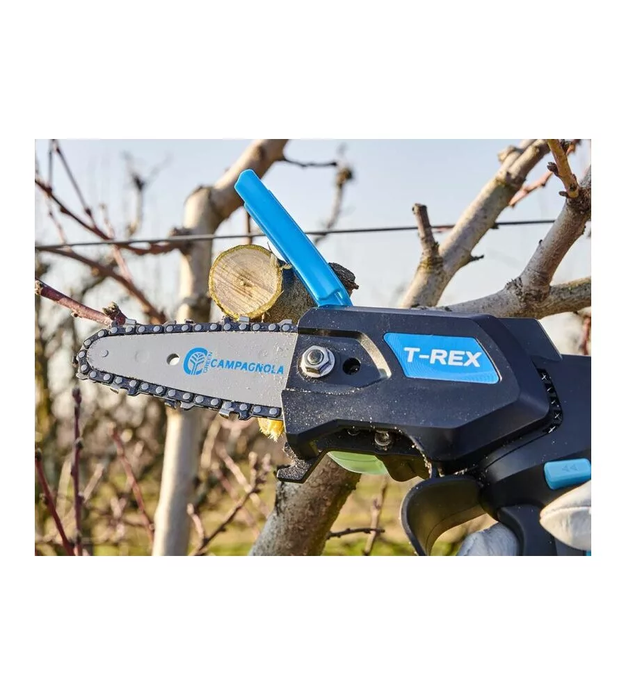 KIT VALIGETTA POTATORE A CATENA A BATTERIA CAMPAGNOLA "T-REX" BARRA 10 CM 2 BATTERIE 21,6V 2,5AH E 4,2AH, CARICABATTERIE TRIPLA USCITA, KIT ATTREZZI E COPRI-BARRA