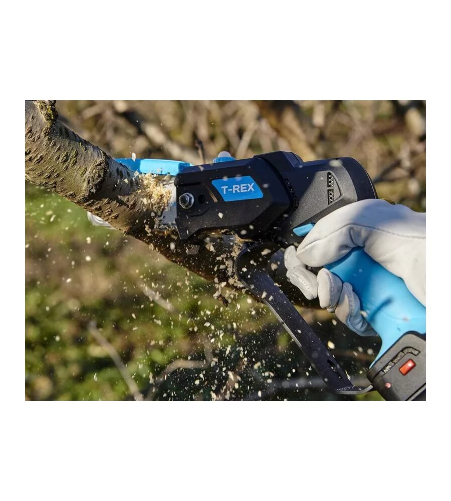 KIT VALIGETTA POTATORE A CATENA A BATTERIA CAMPAGNOLA "T-REX" BARRA 10 CM 2 BATTERIE 21,6V 2,5AH E 4,2AH, CARICABATTERIE TRIPLA USCITA, KIT ATTREZZI E COPRI-BARRA