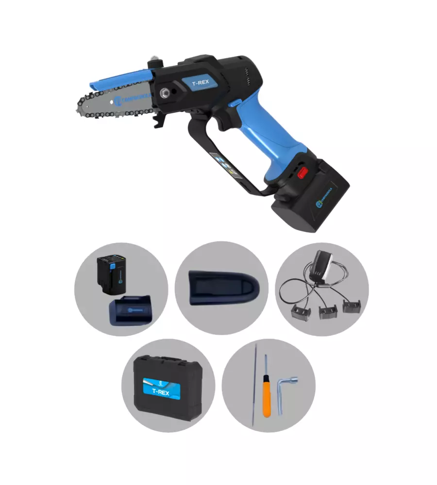 KIT VALIGETTA POTATORE A CATENA A BATTERIA CAMPAGNOLA "T-REX" BARRA 10 CM 2 BATTERIE 21,6V 2,5AH E 4,2AH, CARICABATTERIE TRIPLA USCITA, KIT ATTREZZI E COPRI-BARRA