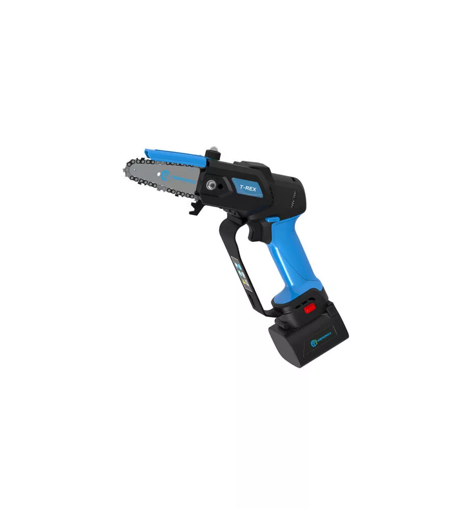 KIT VALIGETTA POTATORE A CATENA A BATTERIA CAMPAGNOLA "T-REX" BARRA 10 CM 2 BATTERIE 21,6V 2,5AH E 4,2AH, CARICABATTERIE TRIPLA USCITA, KIT ATTREZZI E COPRI-BARRA