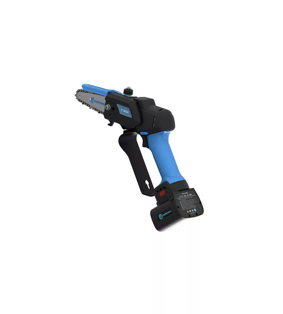 KIT VALIGETTA POTATORE A CATENA A BATTERIA CAMPAGNOLA "T-REX" BARRA 10 CM 2 BATTERIE 21,6V 2,5AH E 4,2AH, CARICABATTERIE TRIPLA USCITA, KIT ATTREZZI E COPRI-BARRA