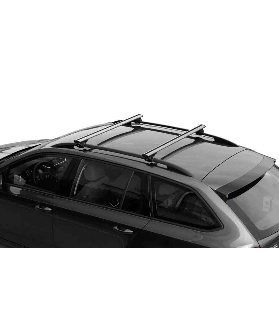 COPPIA BARRE PORTATUTTO IN ALLUMINIO SILENZIO RAIL - S - 108 CM  N15094