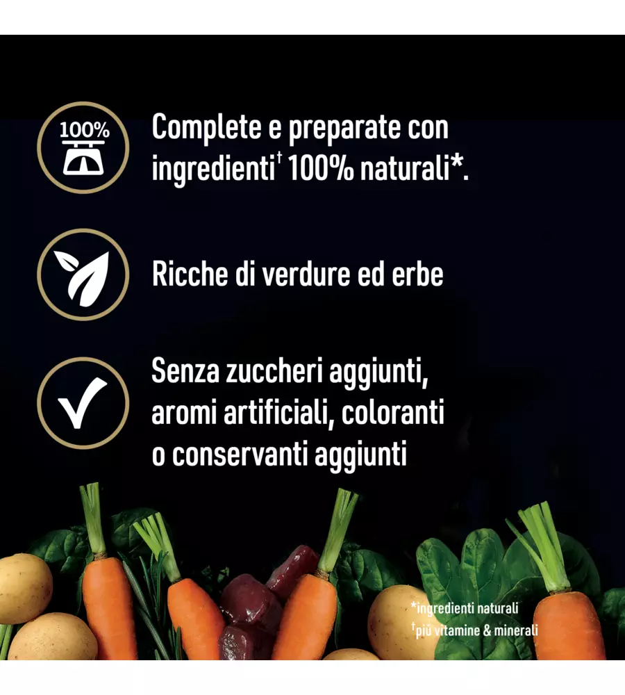 CESAR - UMIDO PER CANI AGNELLO E CAROTE 400 GR