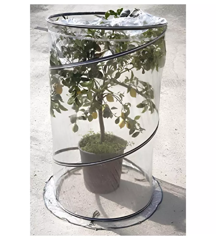 SERRA PER PIANTA VERDEMAX "POP UP CITRUS" 90X150 CM