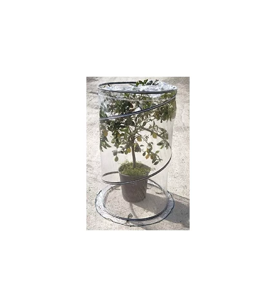 SERRA POP UP CITRUS, 90X150 CM - VERDEMAX
