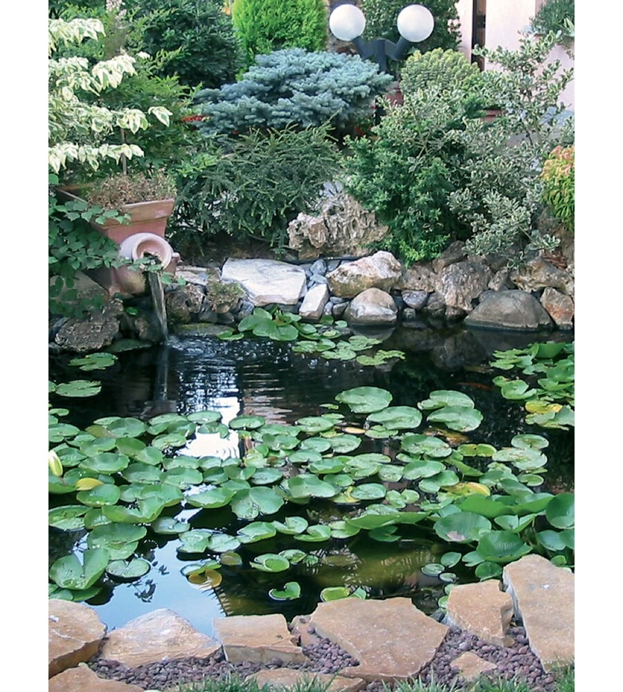 Laghetto Artificiale Verdemax 8607 Da 120 Litri - Vasca In Polietilene Per Giardino 120x90x40cm - Foto 9