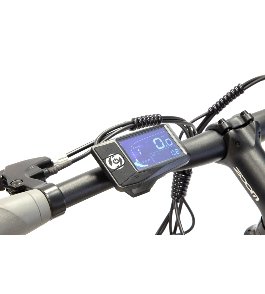 BICI ELETTRICA MOUNTAIN BIKE MTB E-BIKE PERFORMANCE GREEN CON BLUETOOH- ARGENTO