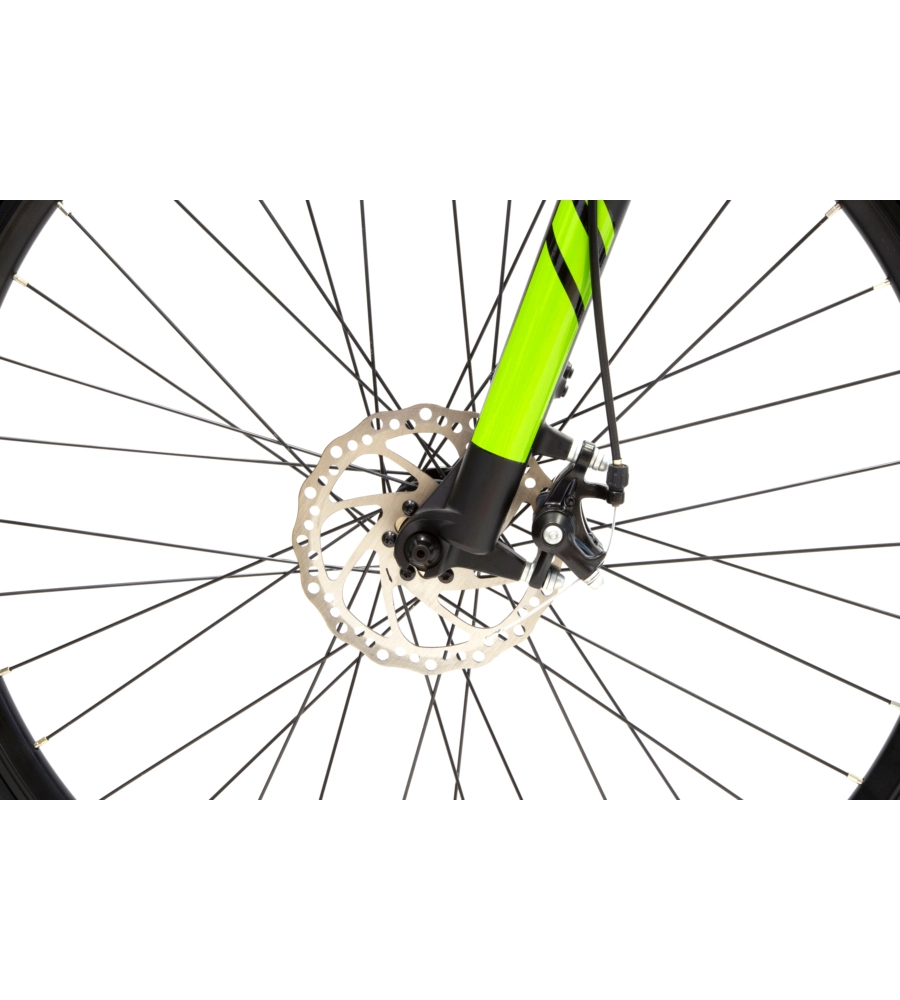 BICI ELETTRICA MOUNTAIN BIKE MTB E-BIKE PERFORMANCE GREEN CON BLUETOOH- ARGENTO