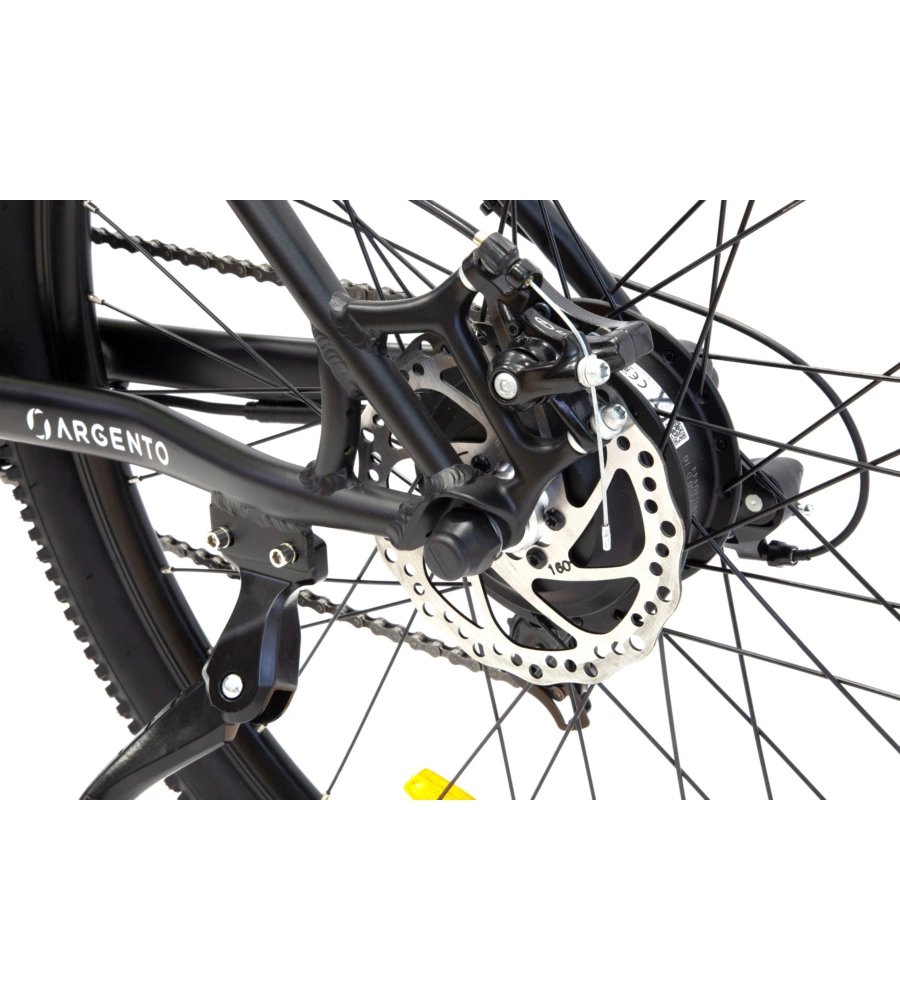 BICI ELETTRICA MOUNTAIN BIKE MTB E-BIKE PERFORMANCE GREEN CON BLUETOOH- ARGENTO