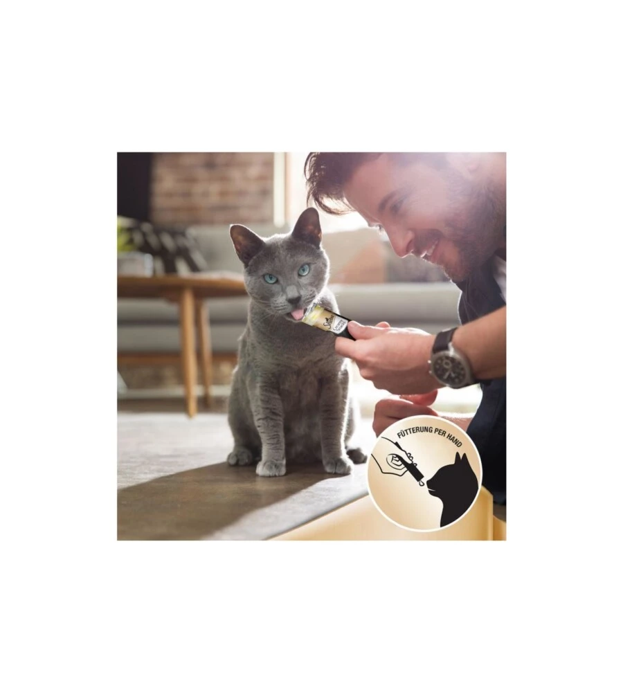 SHEBA - SNACK PER GATTI CREAMY POLLO E SALMONE