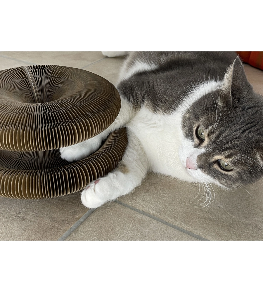 TIRAGRAFFI PER GATTI "GATTO MATTO"  CON PALLINA SONORA