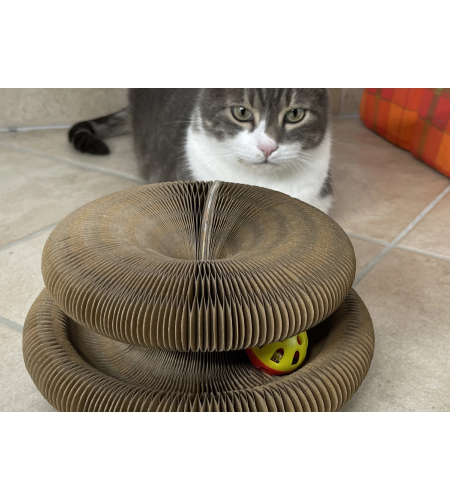 TIRAGRAFFI PER GATTI "GATTO MATTO"  CON PALLINA SONORA