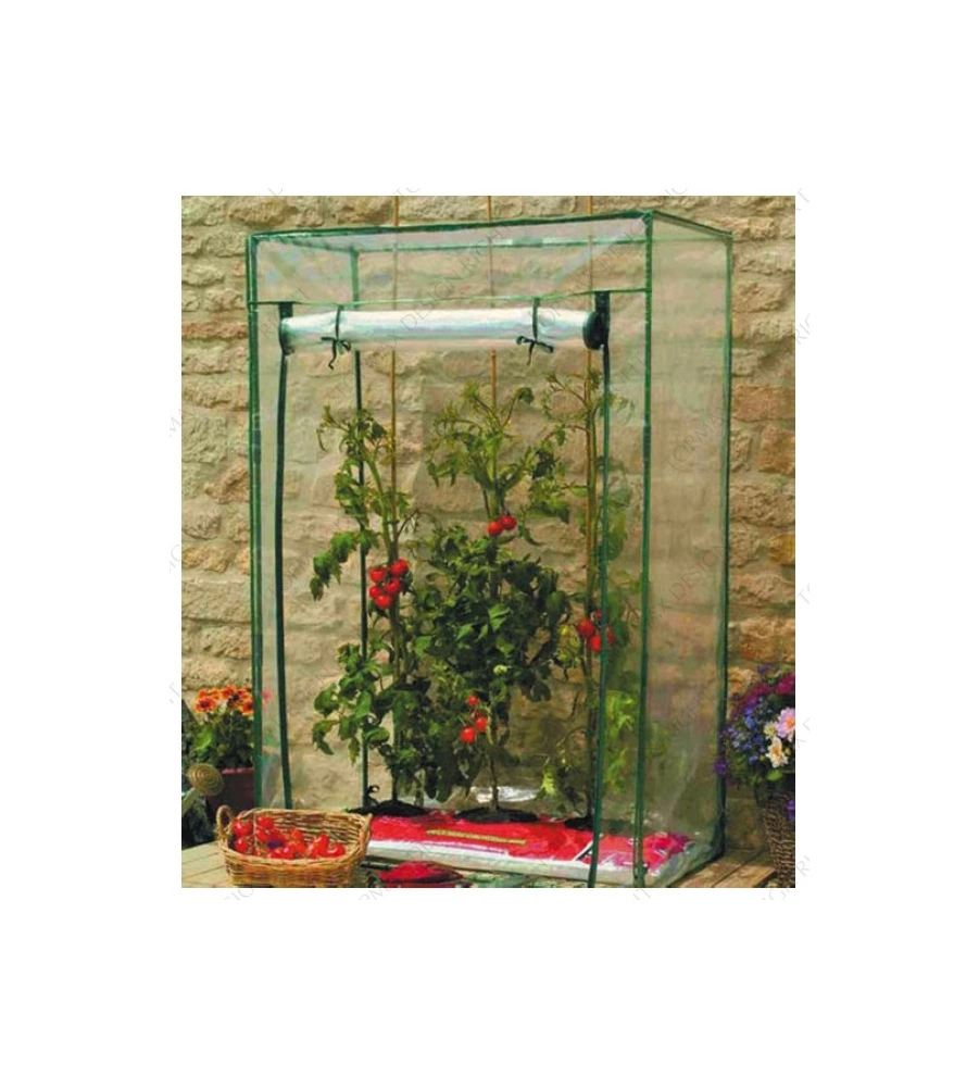 SERRA PER POMODORI "LINDA" CON STRUTTURA IN ACCIAIO E TELO IN PVC, 100X50X150 CM