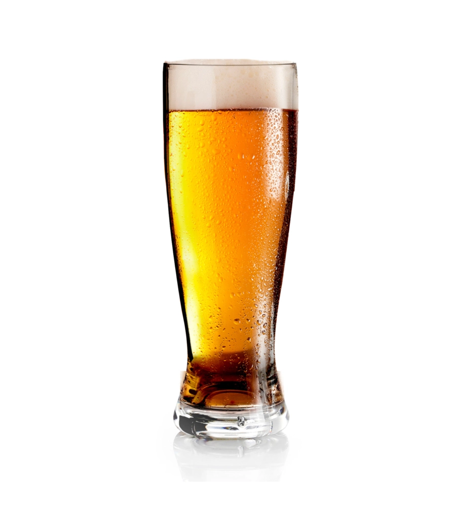 SET 2 CALICI PER BIRRA BRUNNER "BEERGLASS SPECIAL" IN POLICARBONATO 50 CL