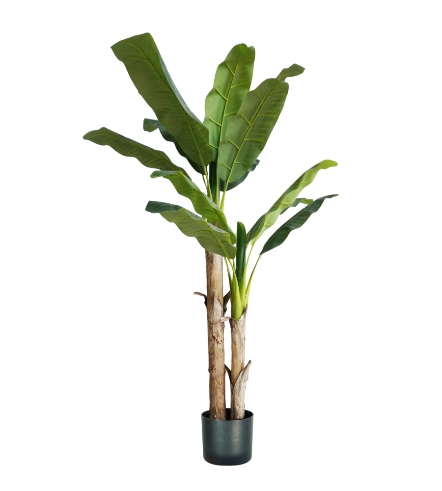 PIANTA DI BANANO IN POLIETILENE, 170 CM