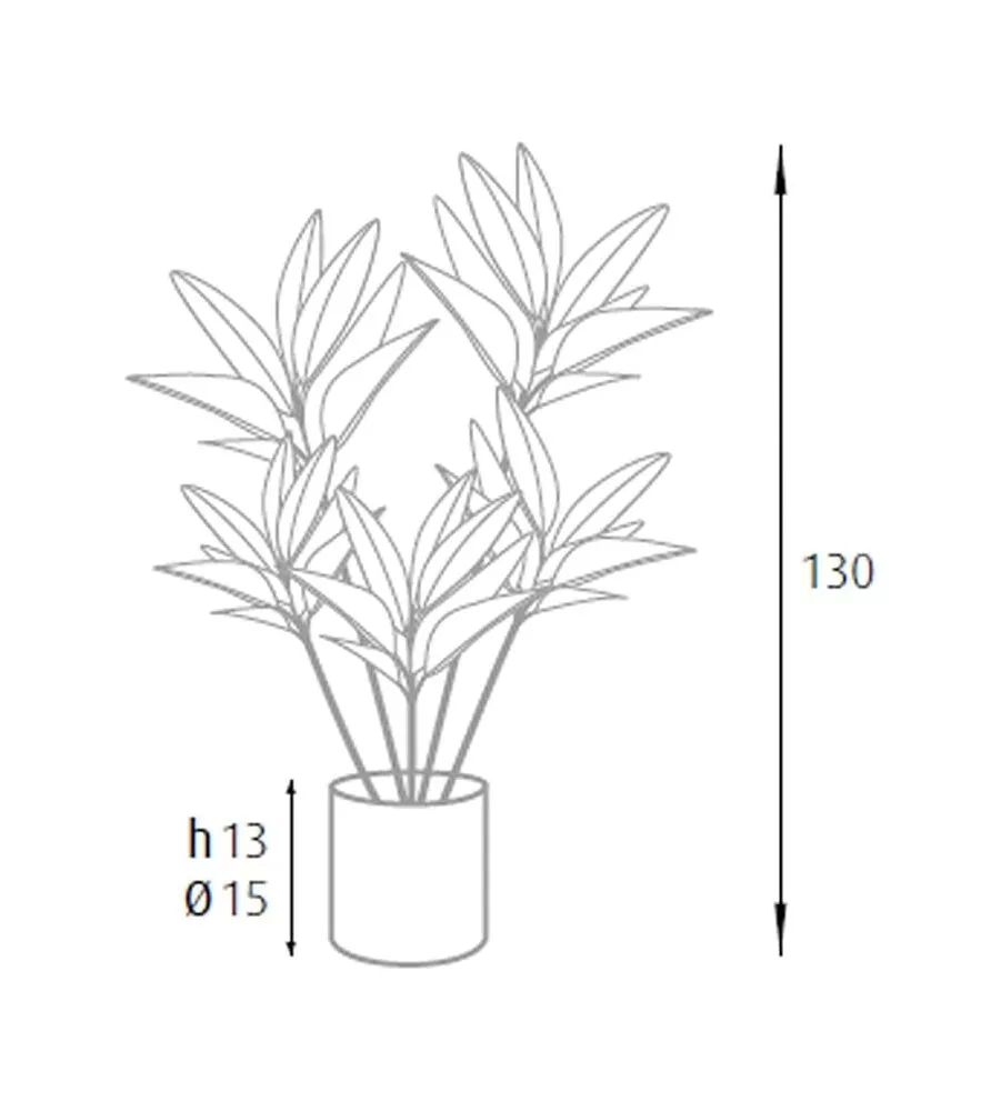 PIANTA DI DRACAENA IN POLIETILENE CON 88 FOGLIE, 130 CM