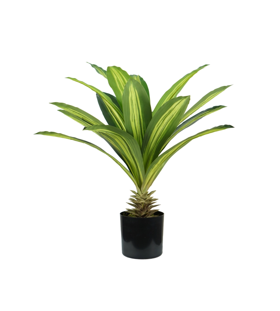 PIANTA DI DRACAENA IN POLIETILENE CON 19 FOGLIE, 60 CM