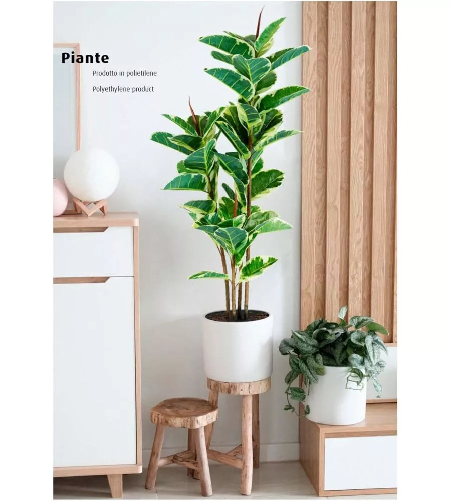 PIANTA DI FICUS ELASTICA IN POLIETILENE CON 54 FOGLIE, 145 CM