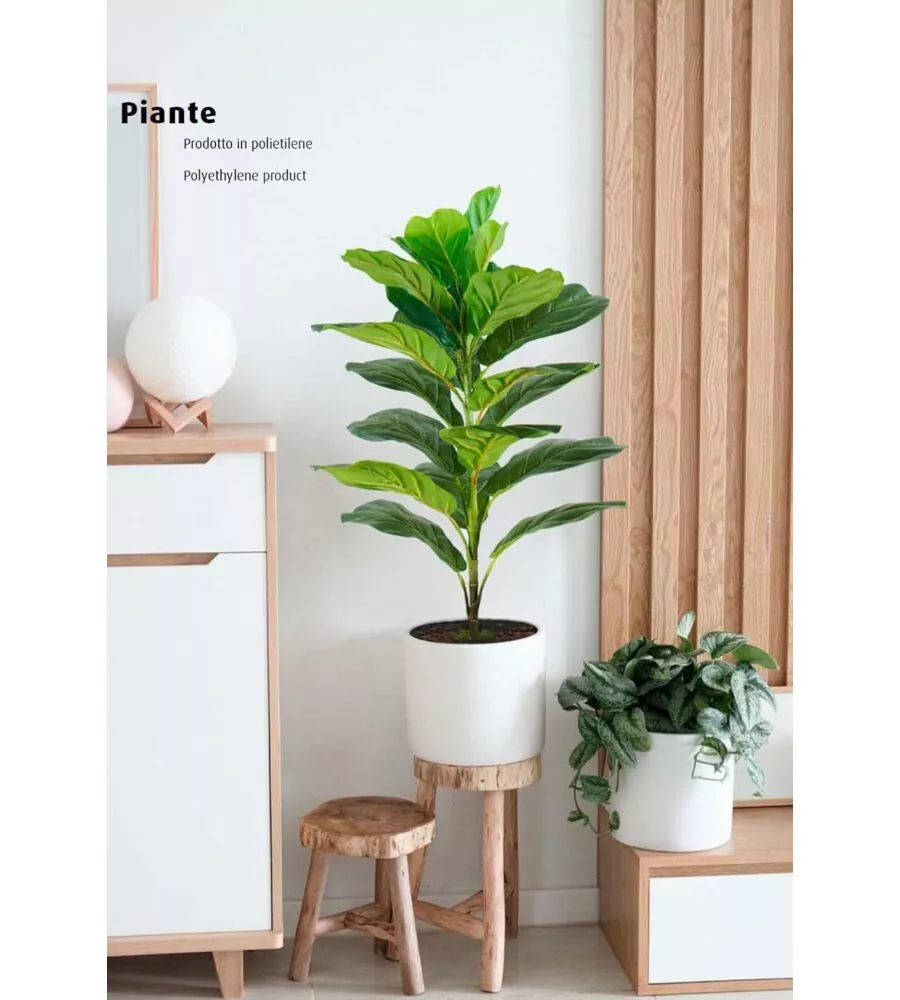 PIANTA DI FICUS LYRATA IN POLIETILENE CON 21 FOGLIE, 75 CM