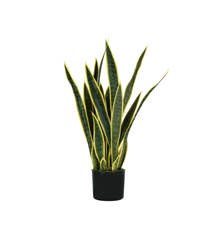 PIANTA DI SANSEVIERIA IN POLIETILENE CON 21 FOGLIE, 75 CM