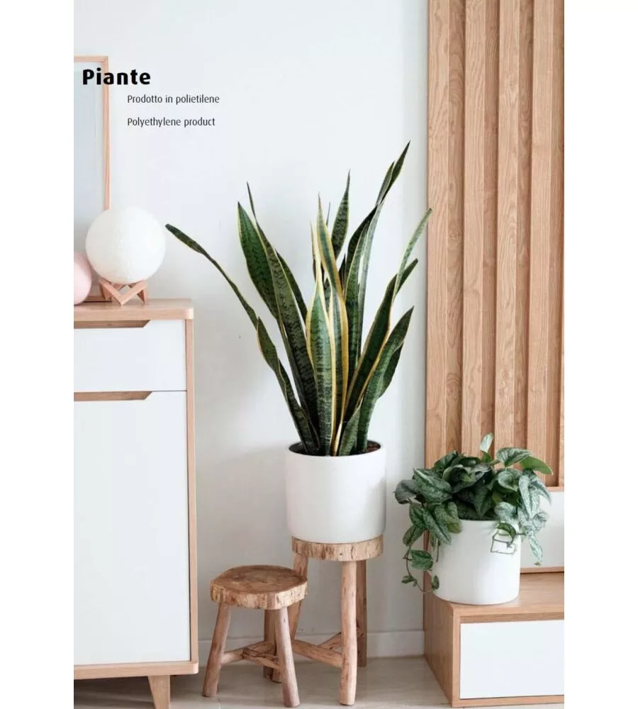 PIANTA DI SANSEVIERIA IN POLIETILENE CON 12 FOGLIE, 45 CM