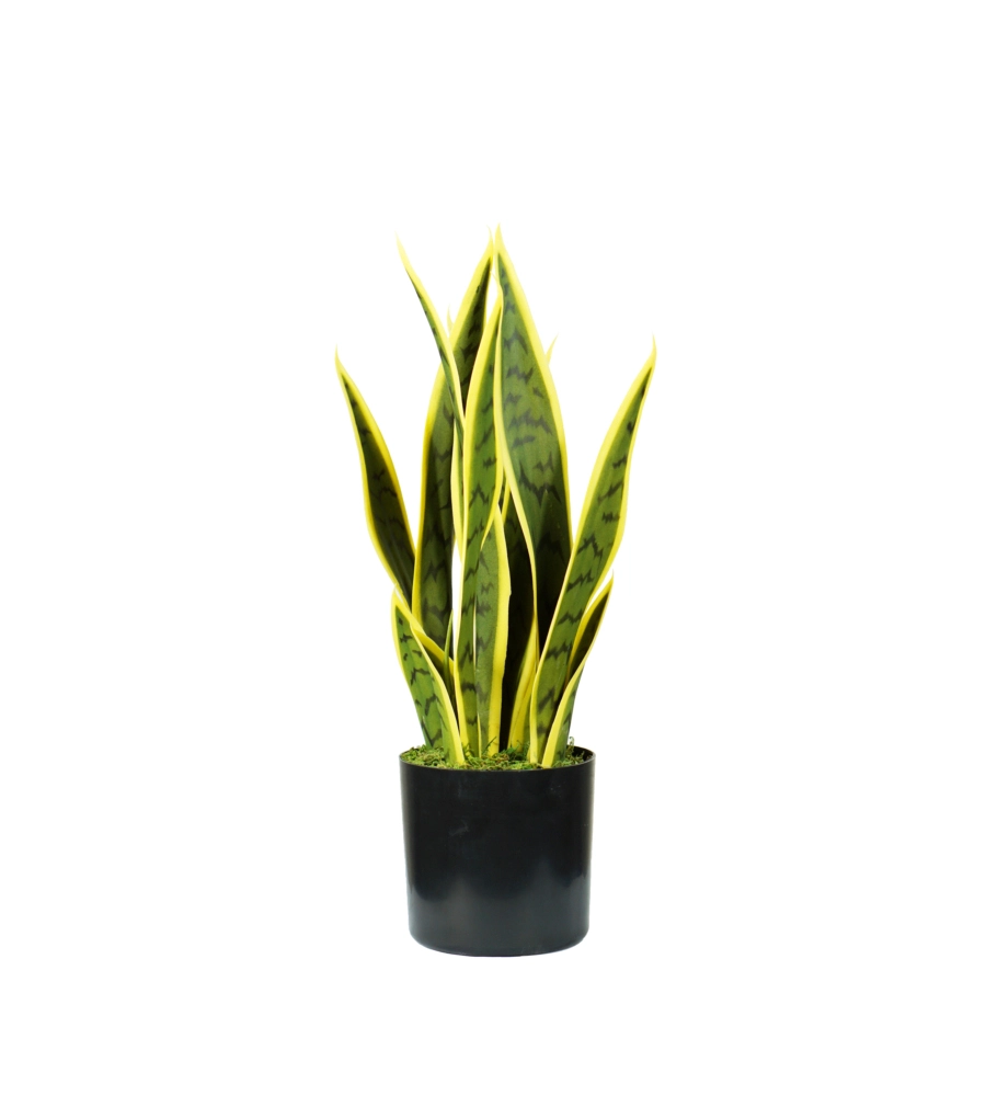 PIANTA DI SANSEVIERIA IN POLIETILENE CON 12 FOGLIE, 45 CM