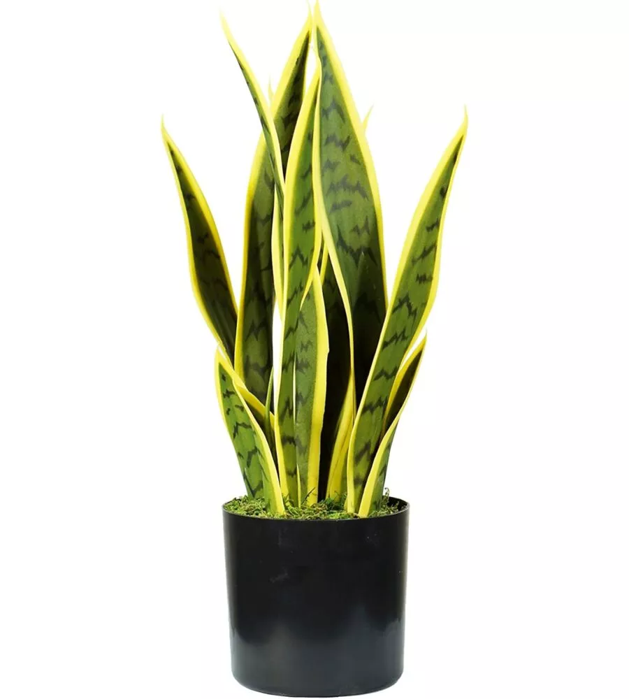 PIANTA DI SANSEVIERIA IN POLIETILENE CON 12 FOGLIE, 45 CM