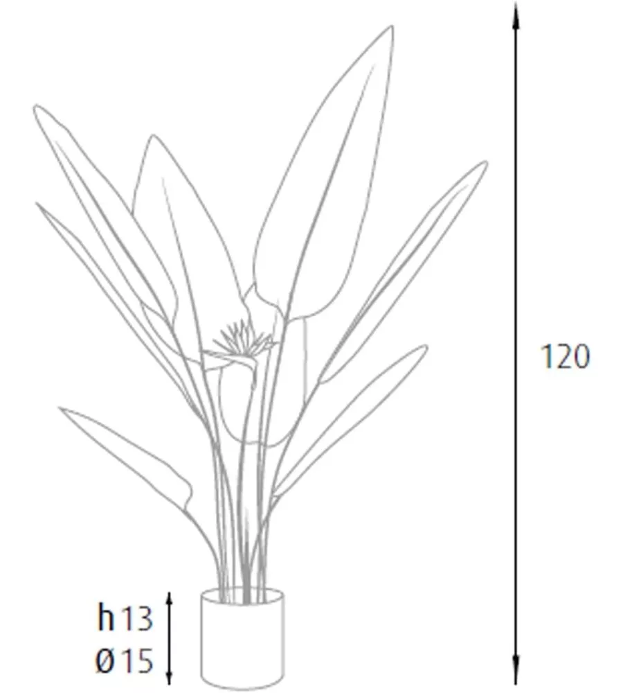 PIANTA STRELITZIA IN POLIETILENE CON 12 FOGLIE E 2 FIORI, 120 CM
