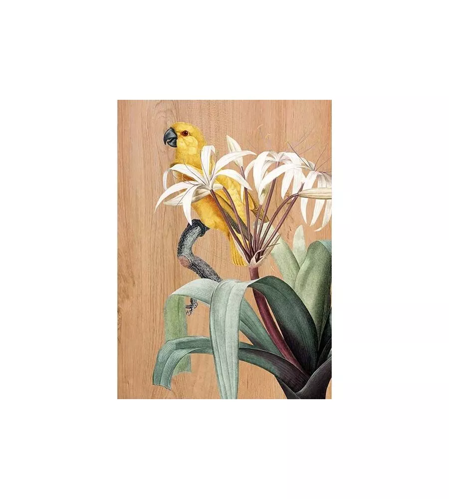 QUADRO IN LEGNO "YELLOW PARROT", 47X67 CM