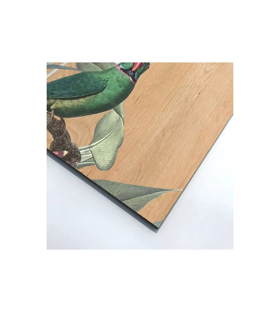 QUADRO IN LEGNO "RED & GREEN PARROT", 47X67 CM