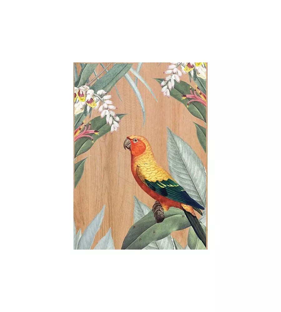 QUADRO IN LEGNO "MULTICOLORS PARROT", 47X67 CM