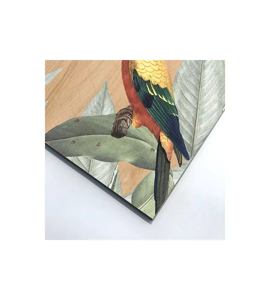 QUADRO IN LEGNO "MULTICOLORS PARROT", 47X67 CM