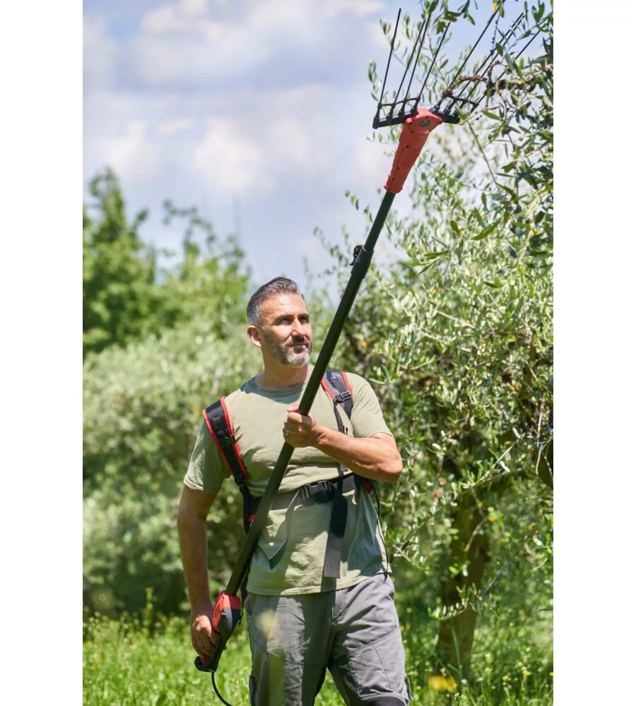 ABBACCHIATORE OLIVE A BATTERIA BLUE BIRD "OLIMPO 23-56 AT" MOVIMENTO OSCILLATORIO LATERALE 21V + 2 BATTERIE 21V 5AH + ASTA TELESCOPICA 2,2-3,1 MT