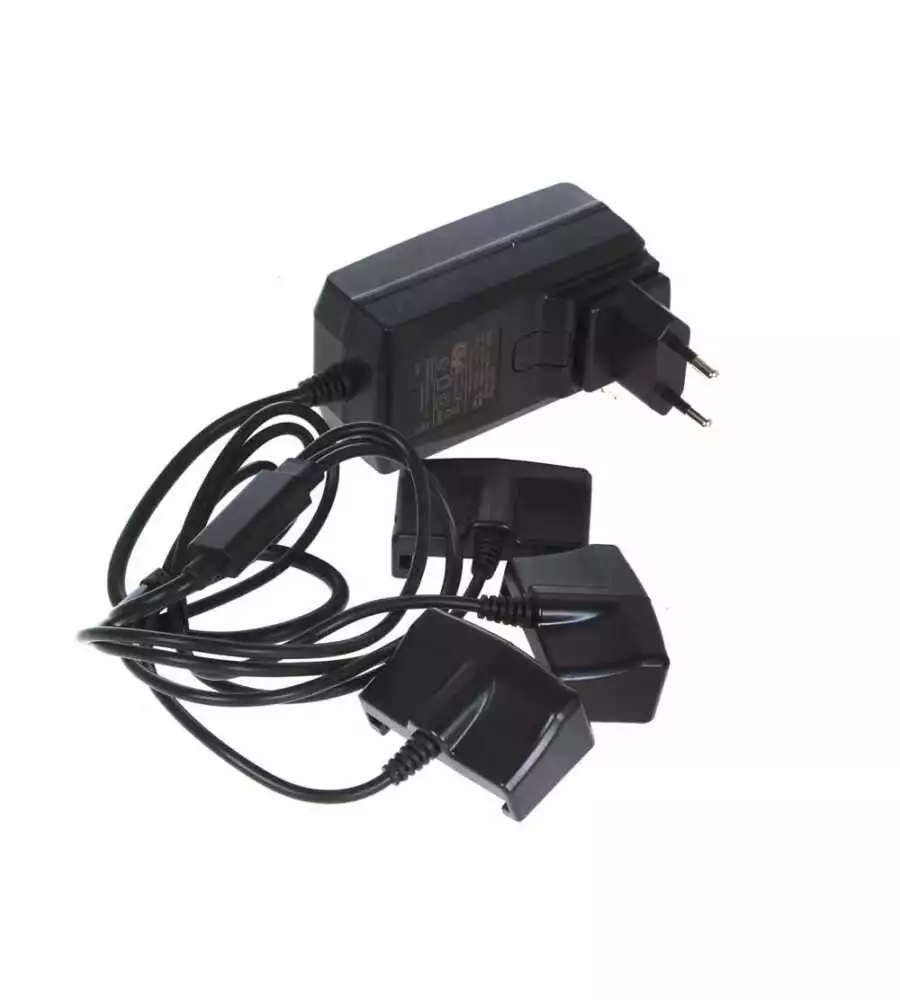 Abbacchiatore olive a batteria Blue Bird "Olimpo 23-56" movimento oscillatorio laterale asta fissa 2,4 m 3 batterie incluse 21V 5Ah