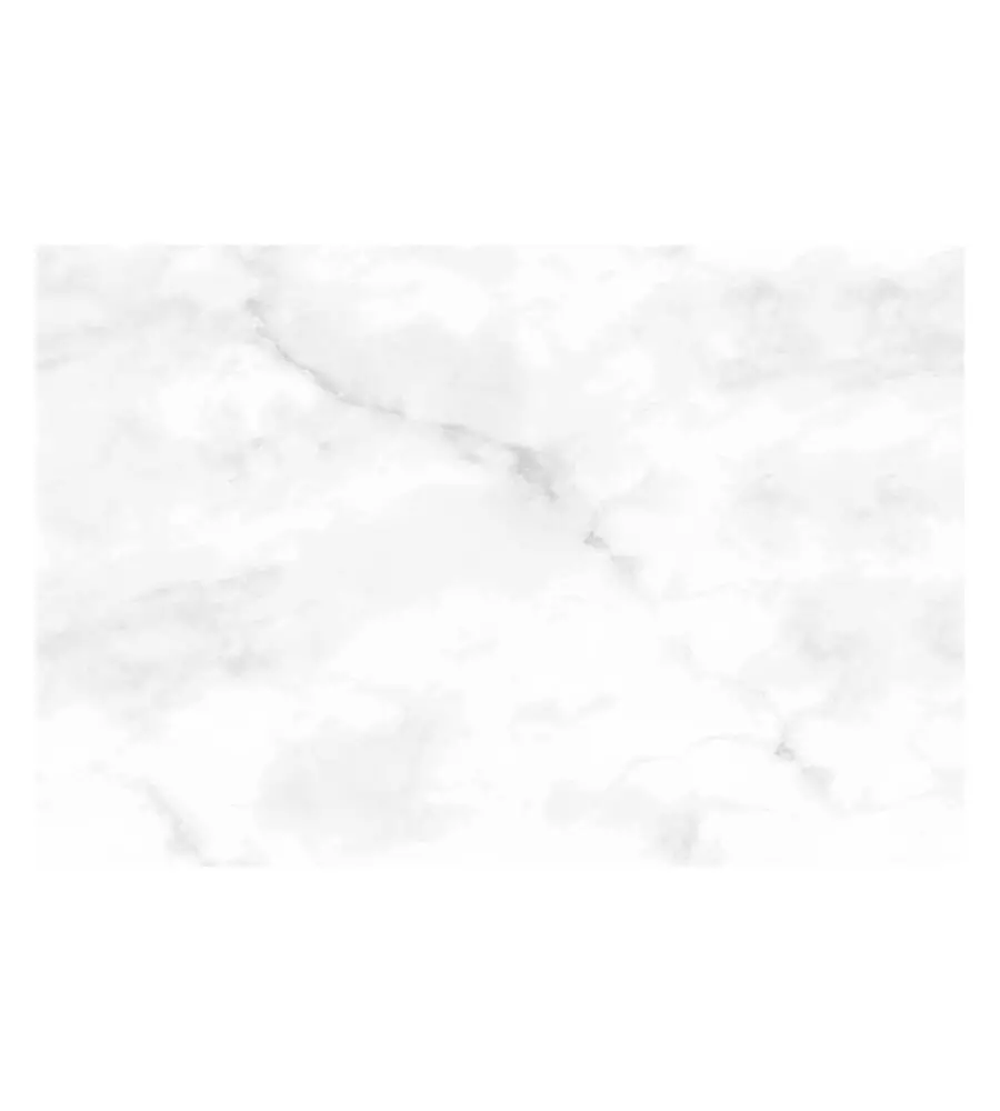 PARASCHIZZI DA CUCINA IN ALLUMINIO FANTASIA "MARBLE", 72X48 CM