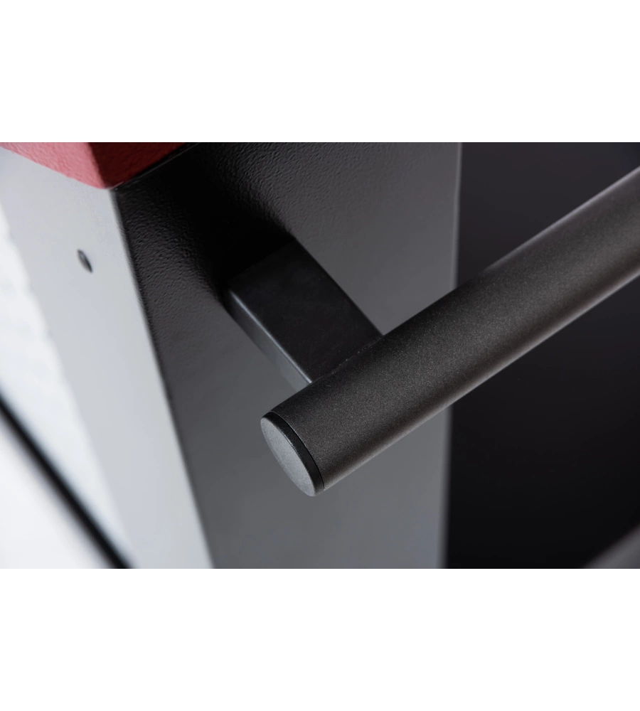 ACCESSORIO ALFA BASE PER FORNO CLASSICO E MODERNO 2 PIZZE
