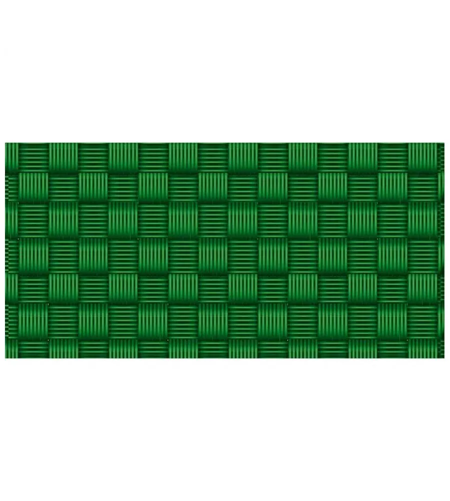 12 PEZZI STRISCIA OCCULTAZIONE VERDEMAX "PRIVACY" COLORE VERDE, 19X205 CM