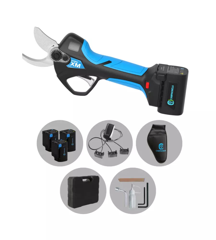 KIT VALIGETTA FORBICE POTATURA A BATTERIA CAMPAGNOLA "STARK XM" TAGLIO 34 MM 3 BATTERIE 14,4V 2,5AH, CARICABATTERIE, KIT ATTREZZI, FONDINA, PIETRA TRIANGOLARE PER LAMA