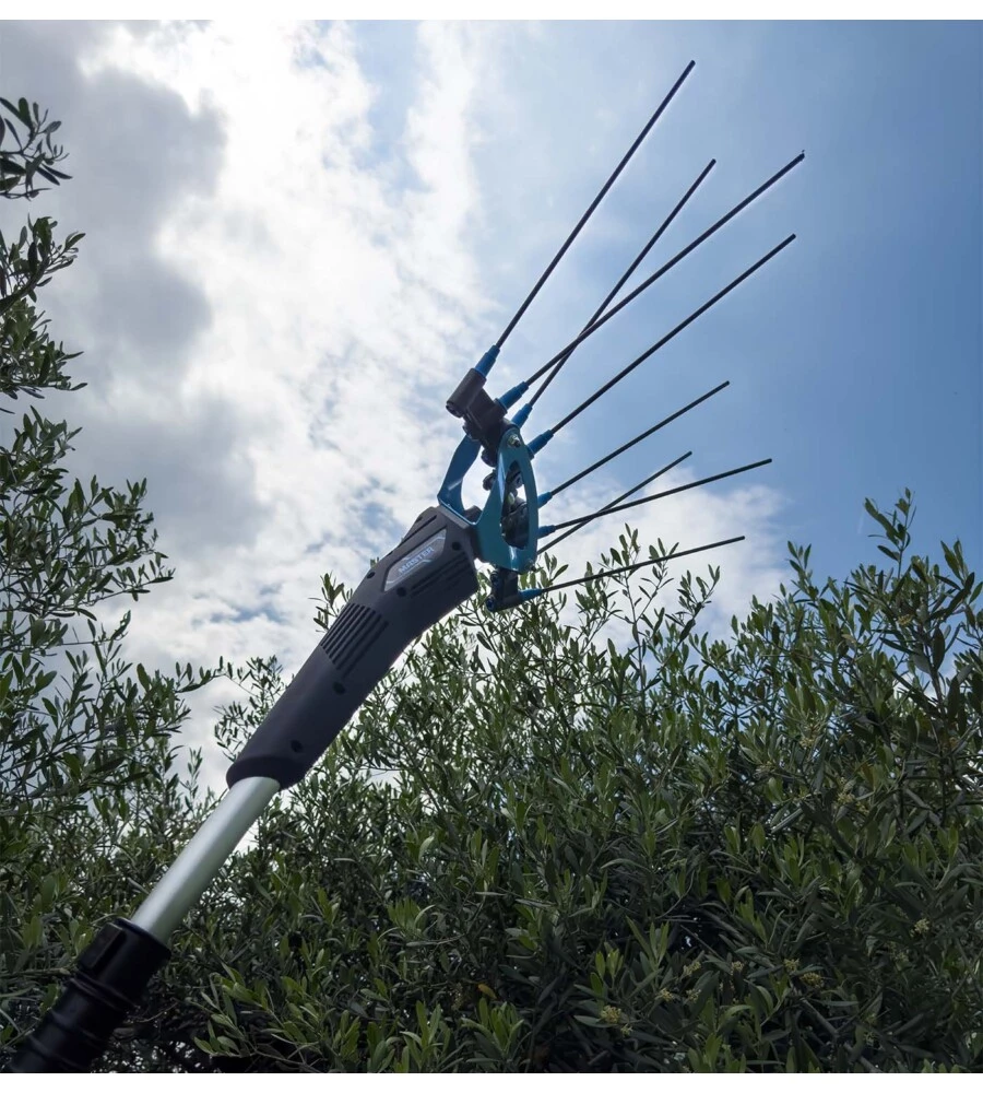 TESTA ABBACCHIATORE OLIVE ELETTRICO A BATTERIA CAMPAGNOLA "MASTER" MOVIMENTO OSCILLATORIO LATERALE 12V