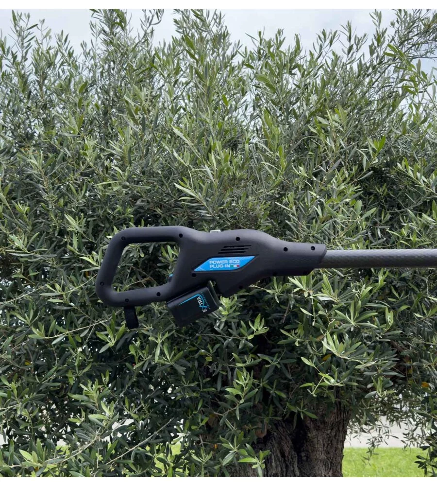 ABBACCHIATORE OLIVE ELETTRICO A BATTERIA CAMPAGNOLA "ALICE STAR ECO PLUG-IN" MOVIMENTO ELLITTICO CONTRAPPOSTO 12V