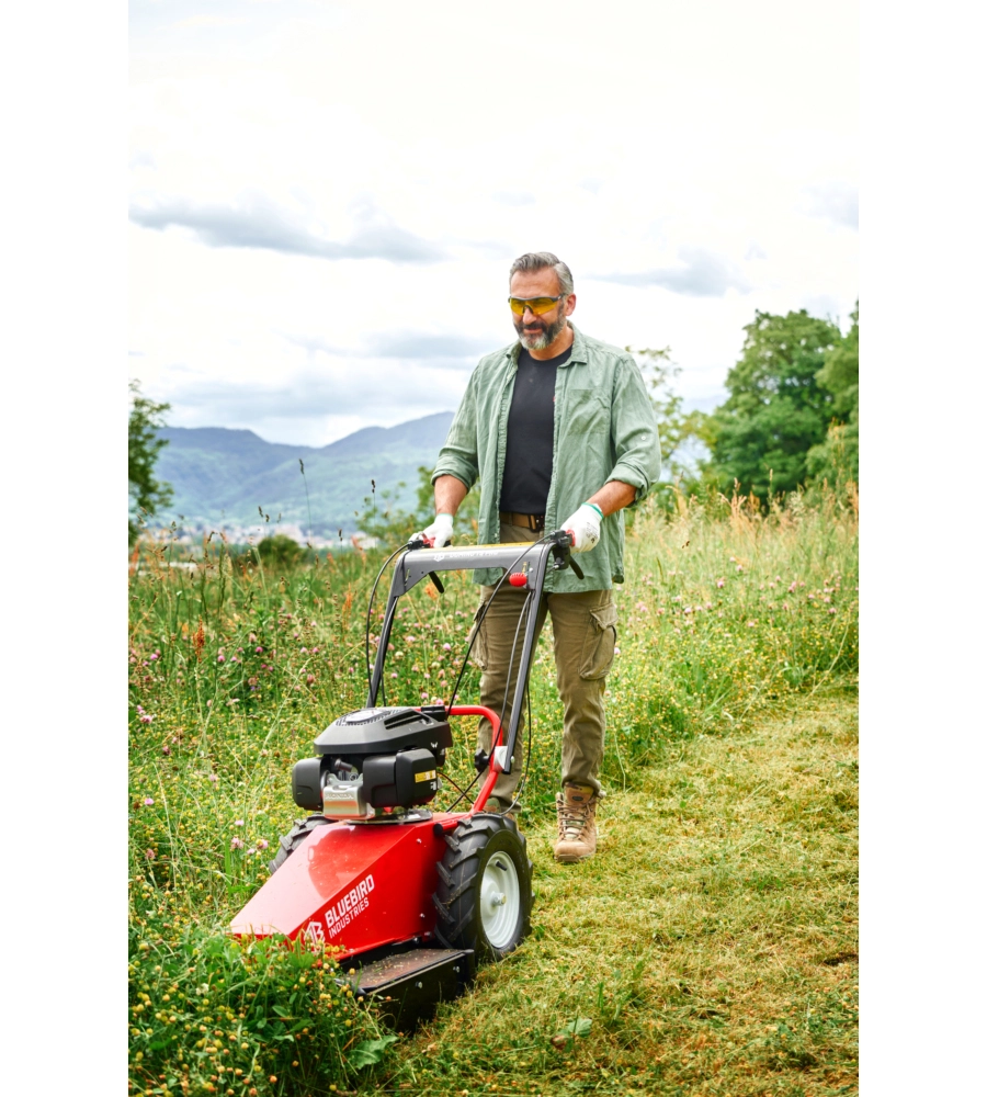 DECESPUGLIATORE A SCOPPIO SU RUOTE BLUEBIRD "DOMINO TS PRO HO" CON TESTINA E LAMA 4T 201 CC - MOTORE HONDA