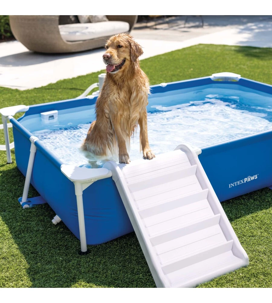 PISCINA FUORI TERRA RETTANGOLARE INTEX PER CANI 229X152X46 CM - COD. 48404NP