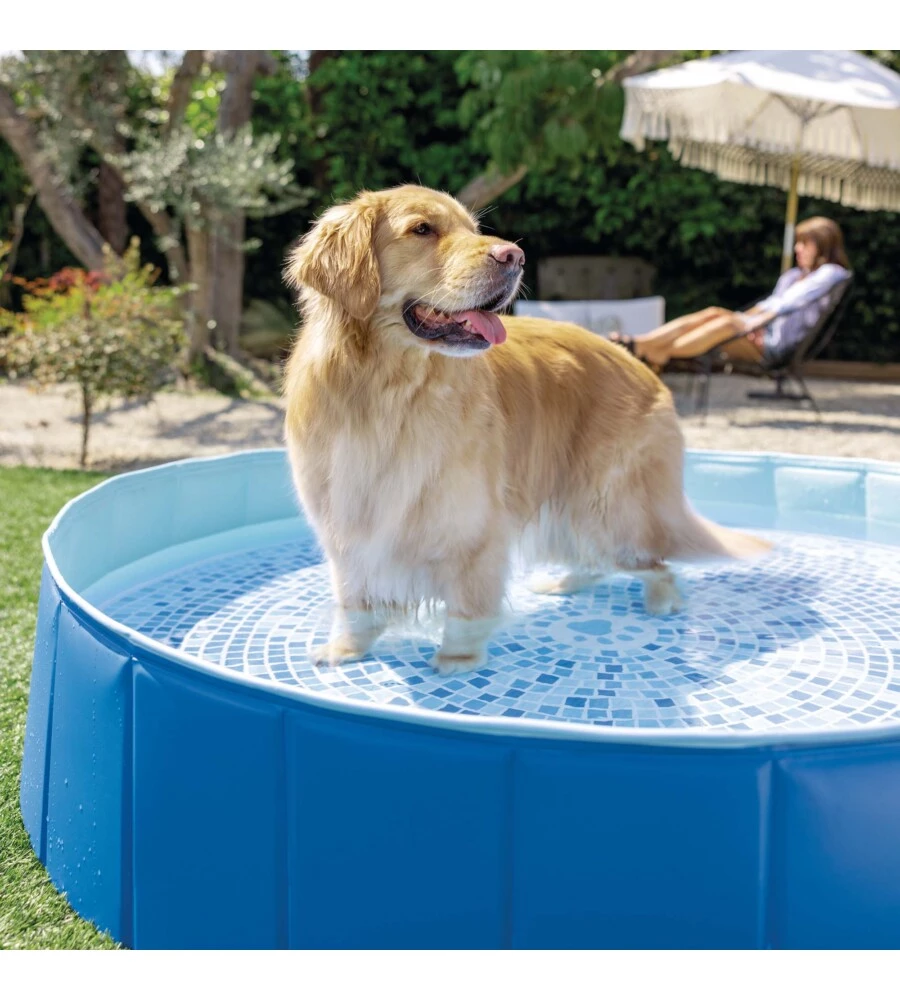 PISCINA FUORI TERRA CON STRUTTURA PIEGHEVOLE RIGIDA PER CANI INTEX AZZURRA 152X152X30 CM - COD. 48400NP