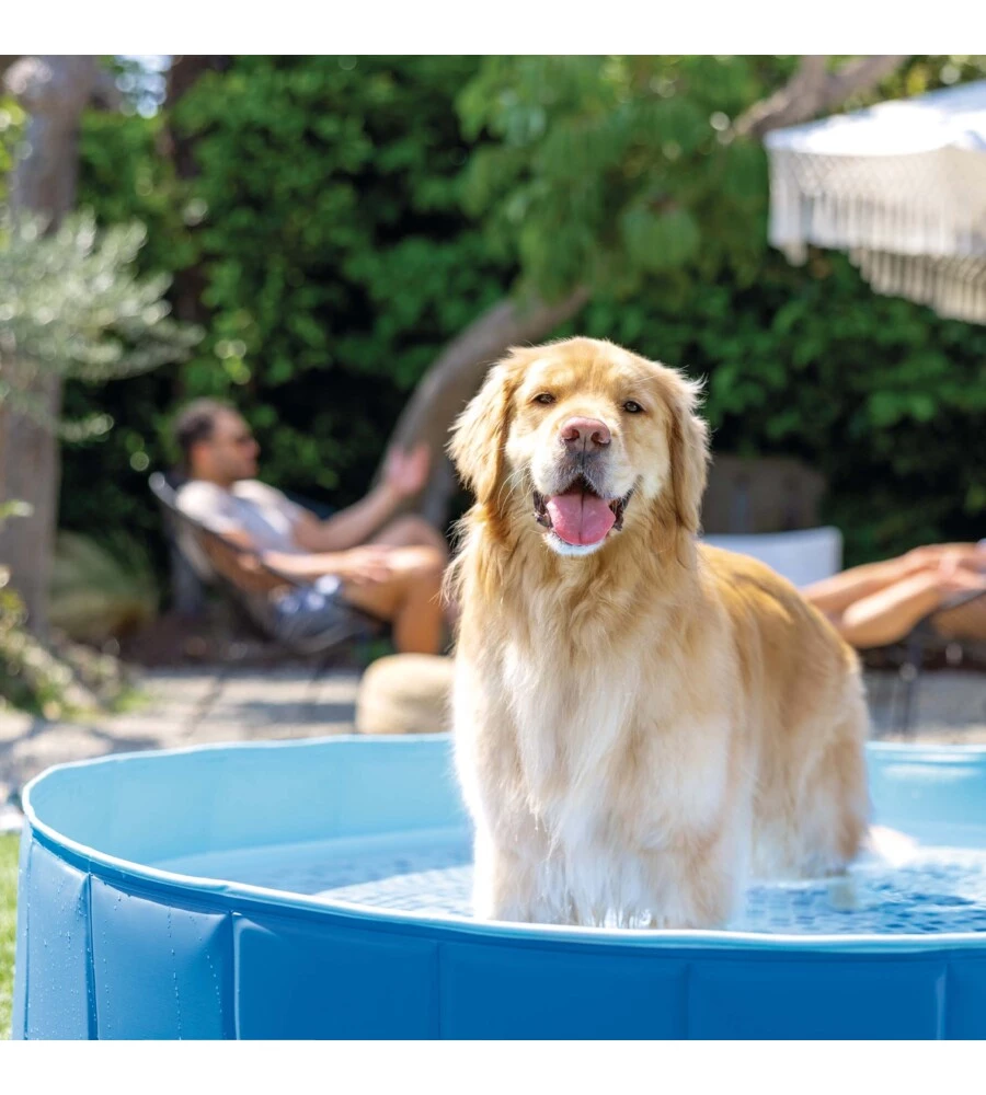 PISCINA FUORI TERRA CON STRUTTURA PIEGHEVOLE RIGIDA PER CANI INTEX AZZURRA 152X152X30 CM - COD. 48400NP